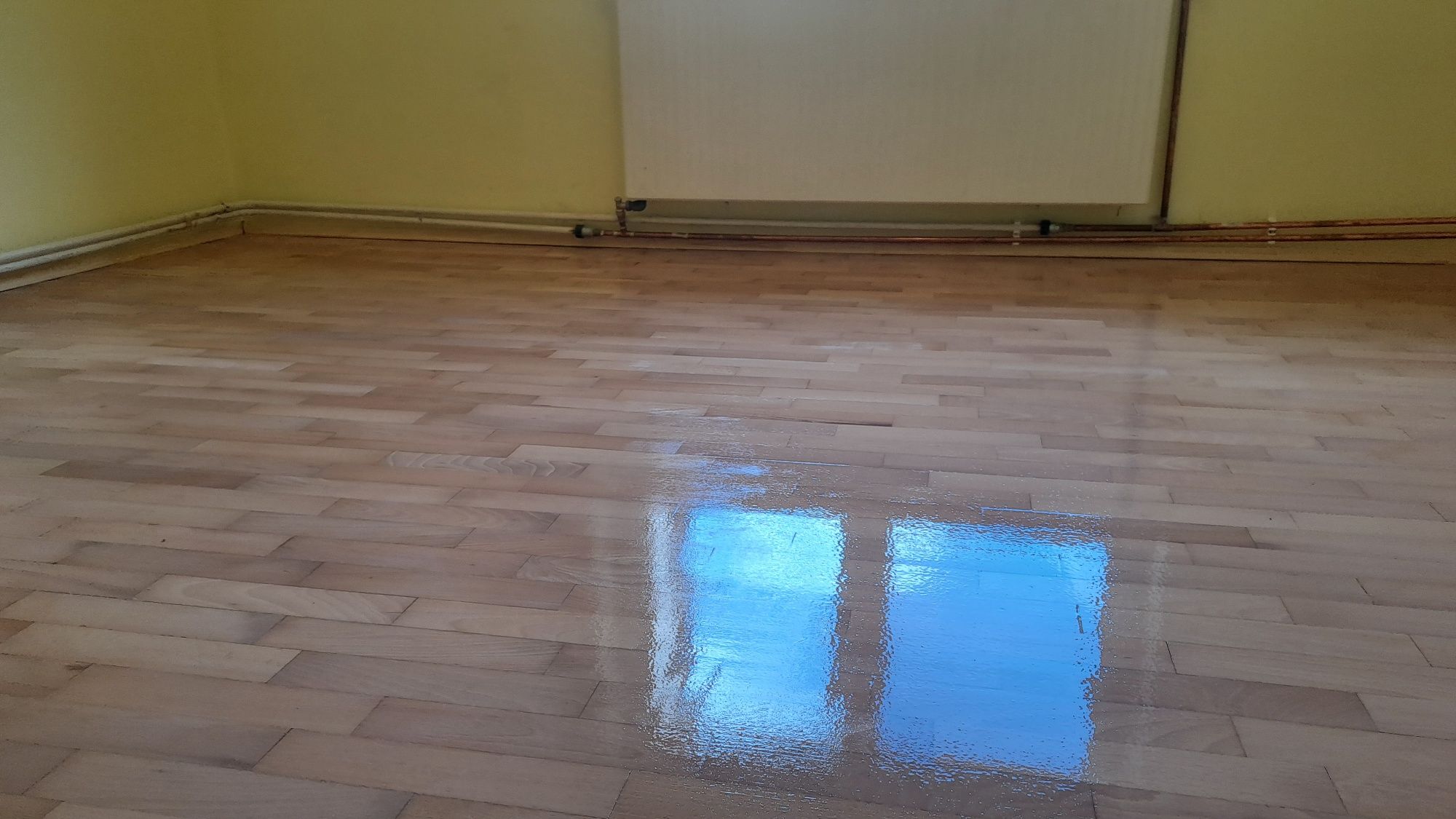 Rașchetez ,chituiesc,grunduiesc, lacuiesc