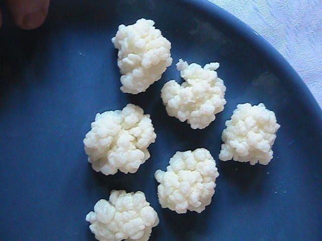 Ciuperca Tibetana Kefir