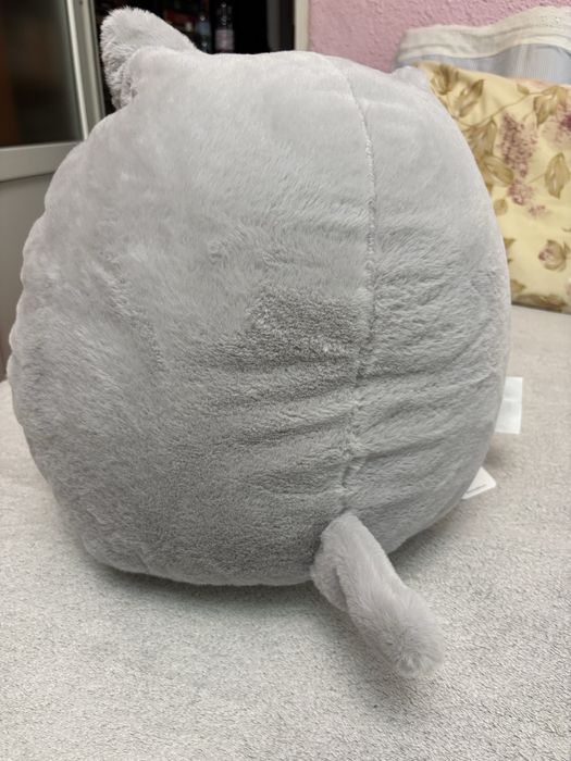 Perna pisicuta Waikiki