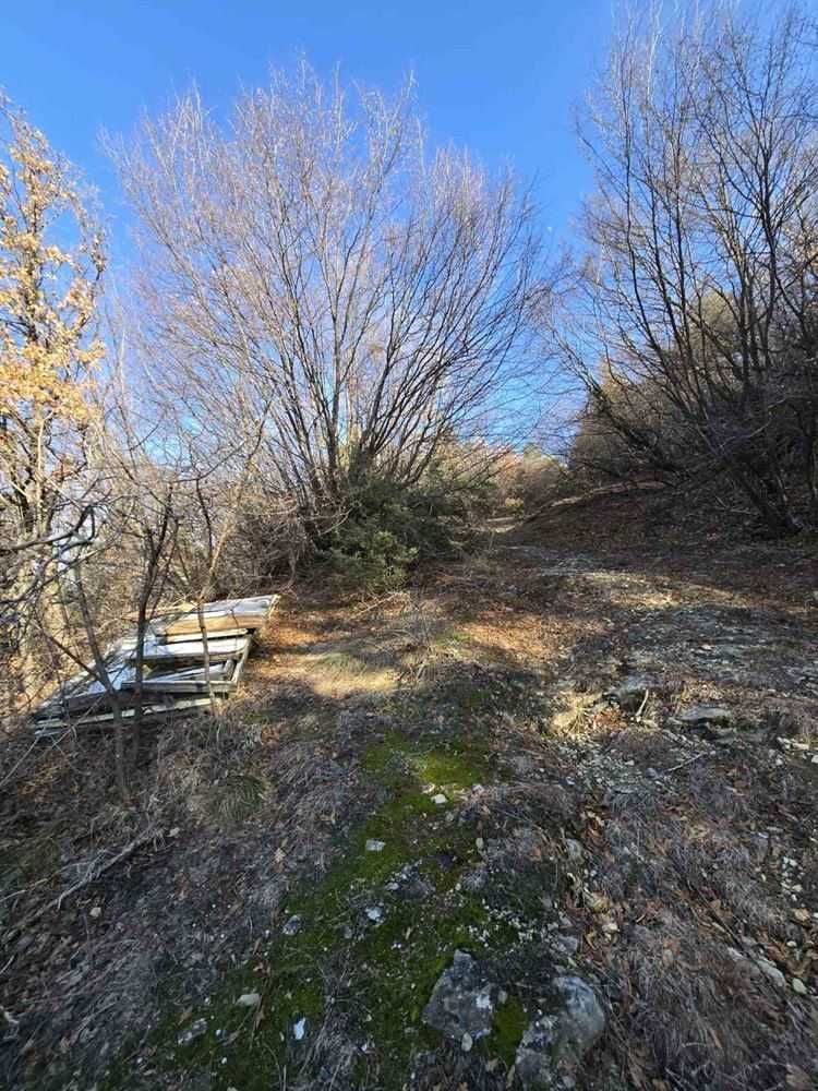 Продава се Парцел в с. Гълъбово, Област Пловдив - 513 кв.м за 60 €/кв.м - Снимка #4