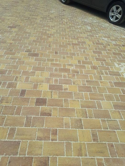 Burschatka terish xizmati