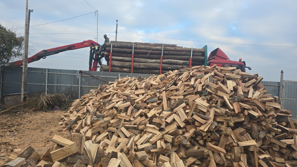 Lemne de foc fag sparte