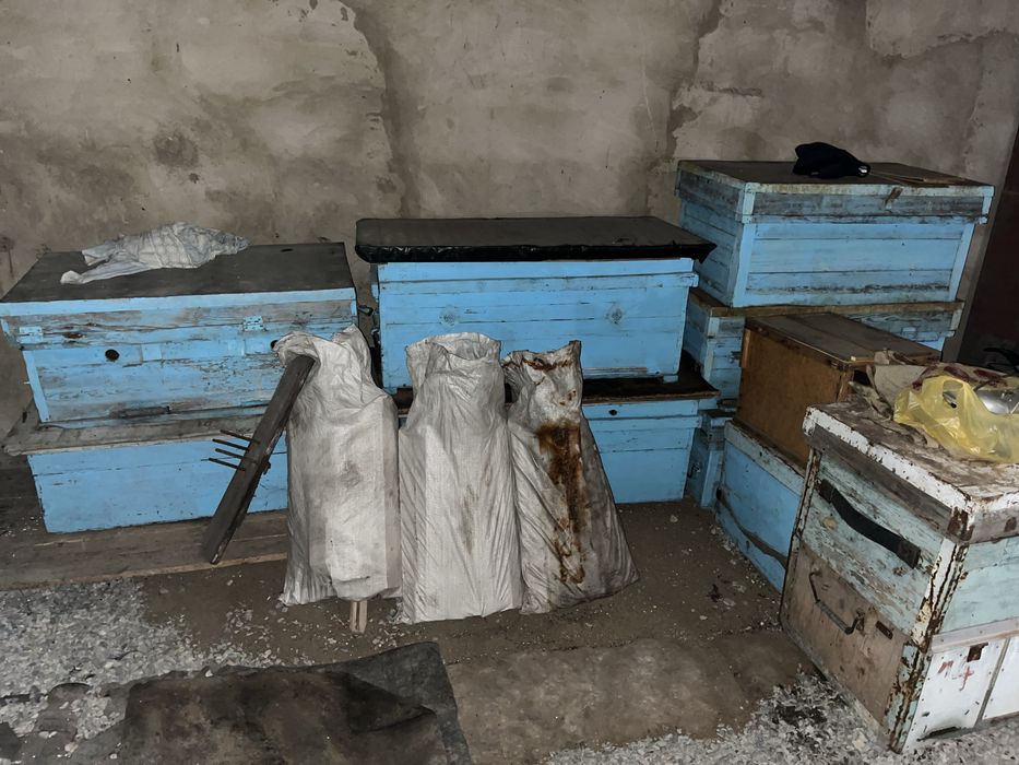 БУ улики для пчел