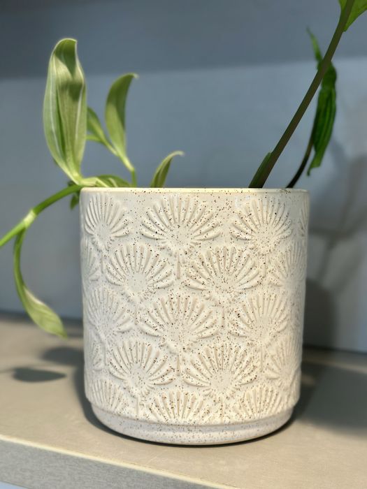 керамични саксии за растения