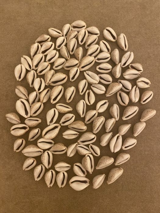 Cochilii melci(ghioci) mici - 100 bucati