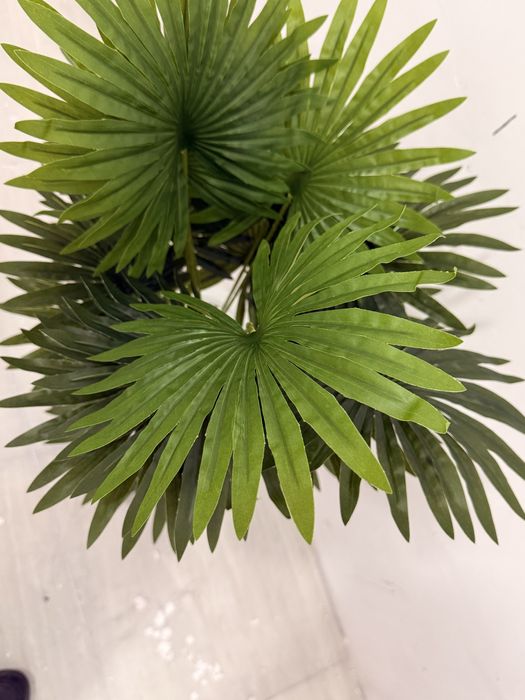 Palma daraxti (Sun'iy) uy va ofis uchun