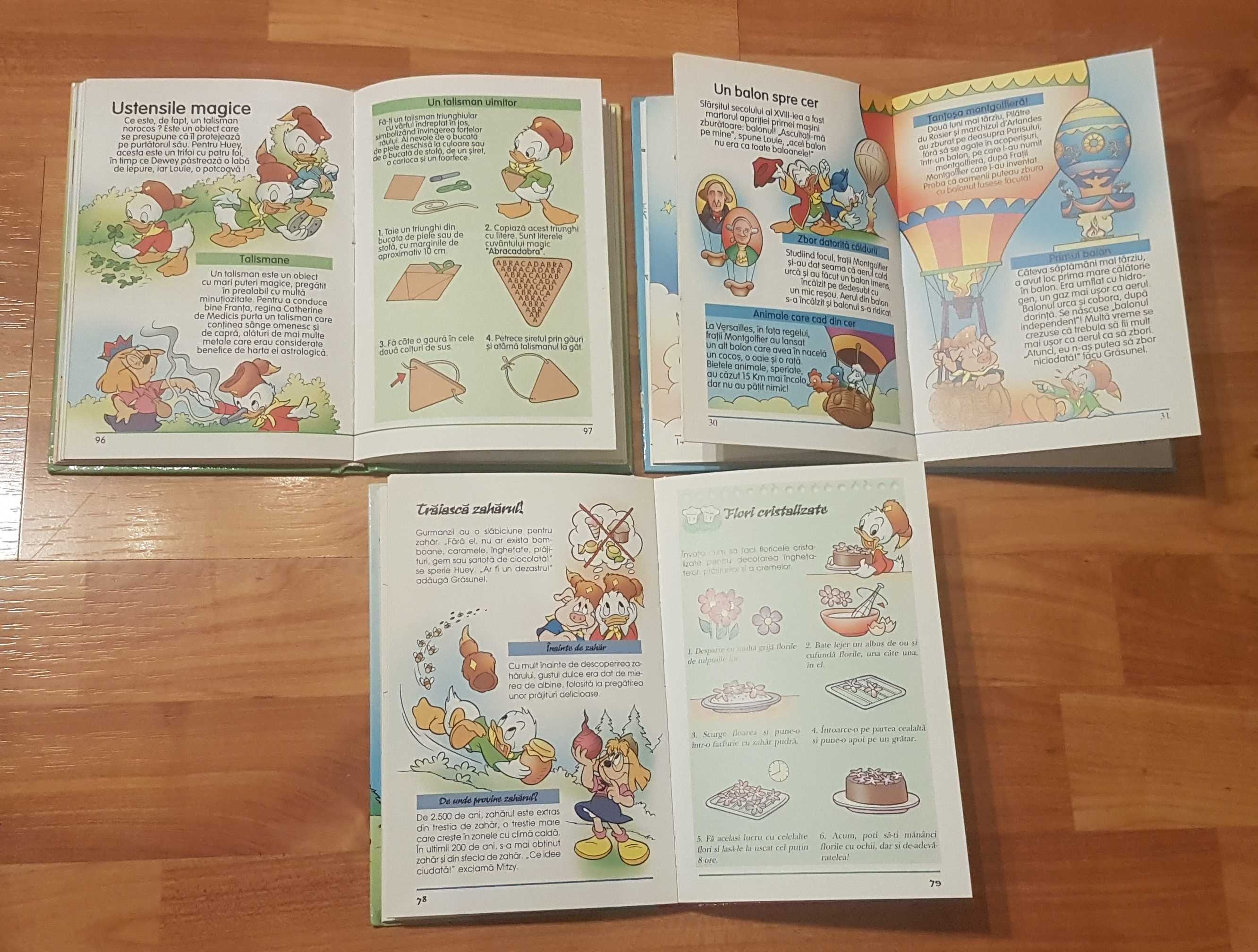 Set 3 carti din seria Manualul castorilor Juniori Egmont