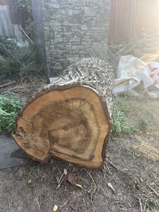 Продам дрова орех и полено для столешницы