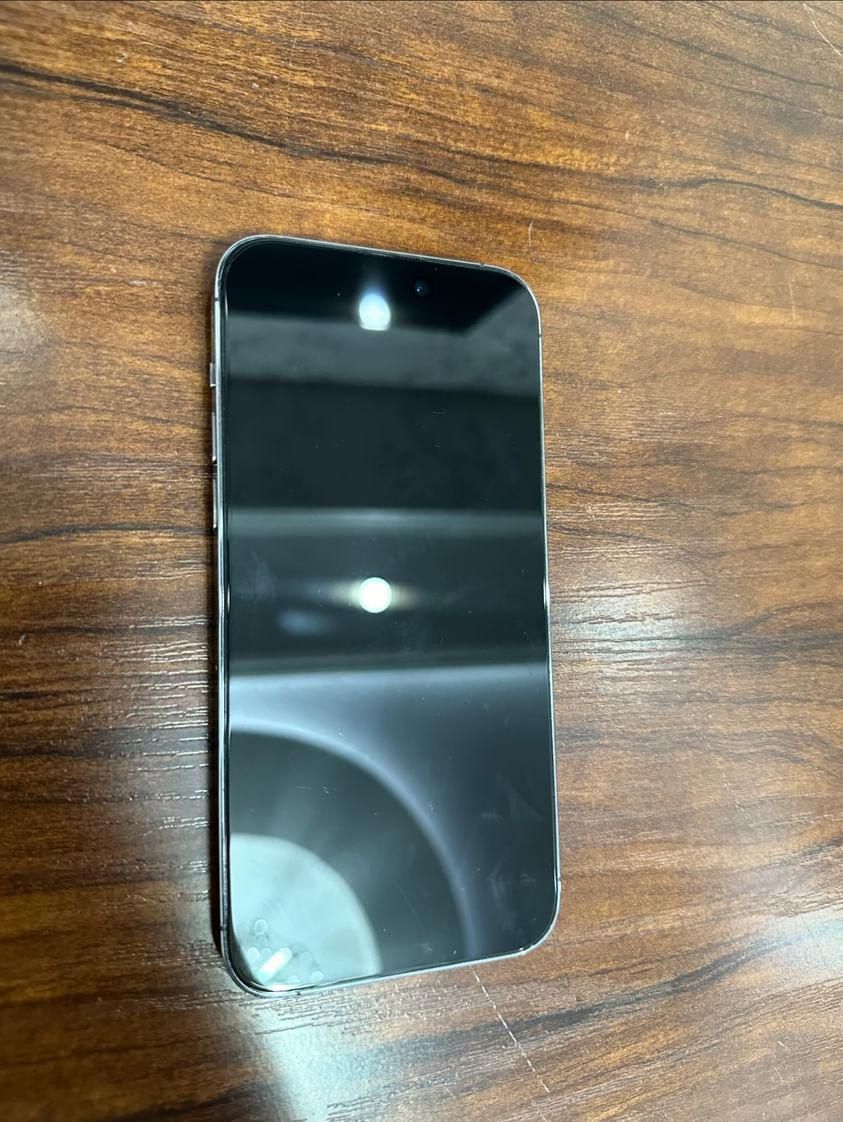 iPhone 14 Pro Max