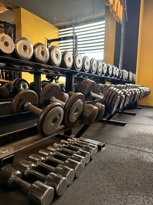 Set gantere si suport