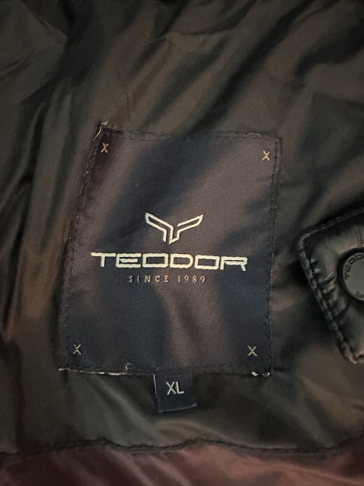 Пролетно яке TEODOR