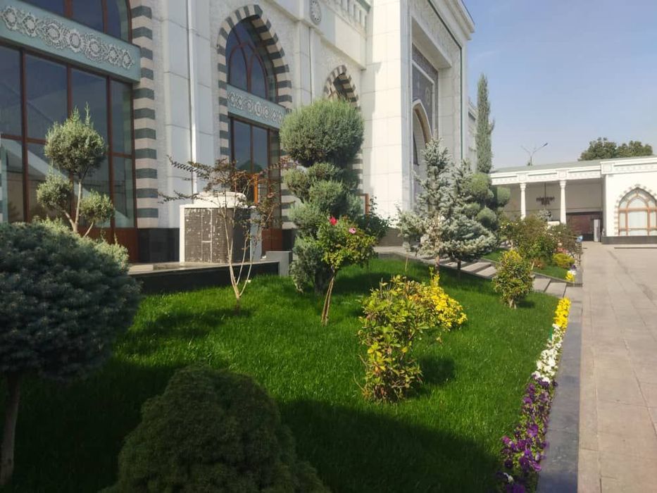 Gazon ekish.  xizmati