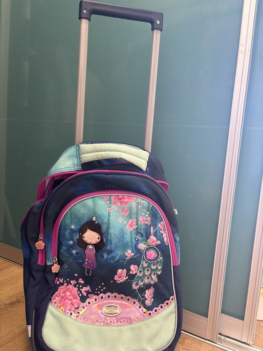 Troler/ghiozdan scoala