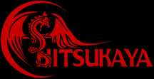 Professional Web & IT Services | hitsukaya.com