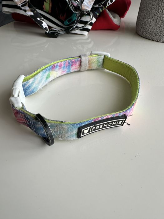 Ham si zgarda Frenchie