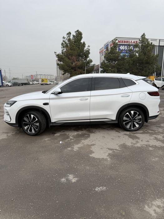 Аренда BYD Champion Smart 2025