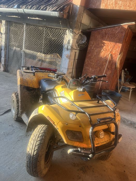 can-am bombardier Rally 200cc