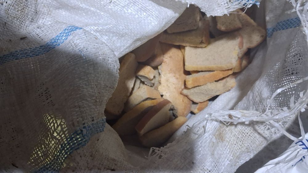 Qotgan Non Sotiladi