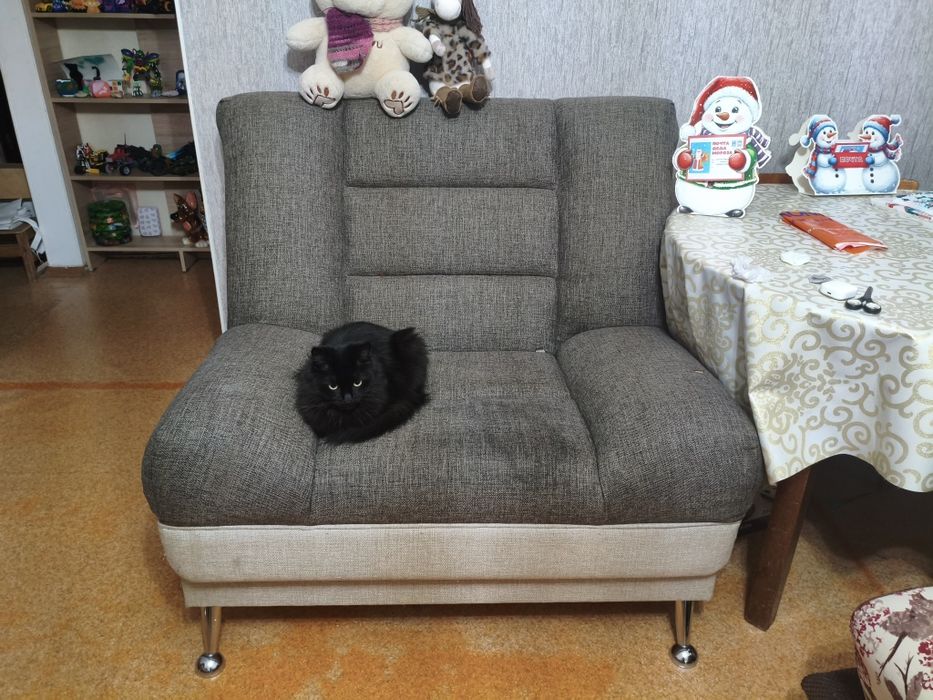 Кресло кровать, 15 000