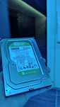 HDD 500gb WD green
