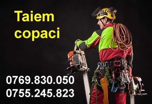 pomi mari taiem cu alpinisti utilitari