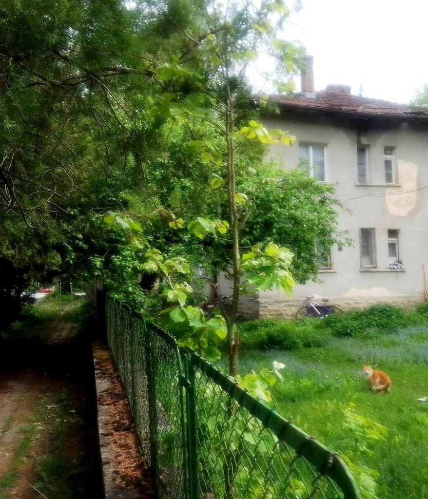 Продава се Къща в с. Рибарица, Област Ловеч - 220 кв.м за 385 €/кв.м - Снимка #16