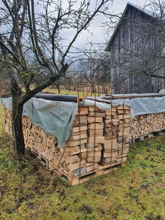 Lemne foc esența tare Fag