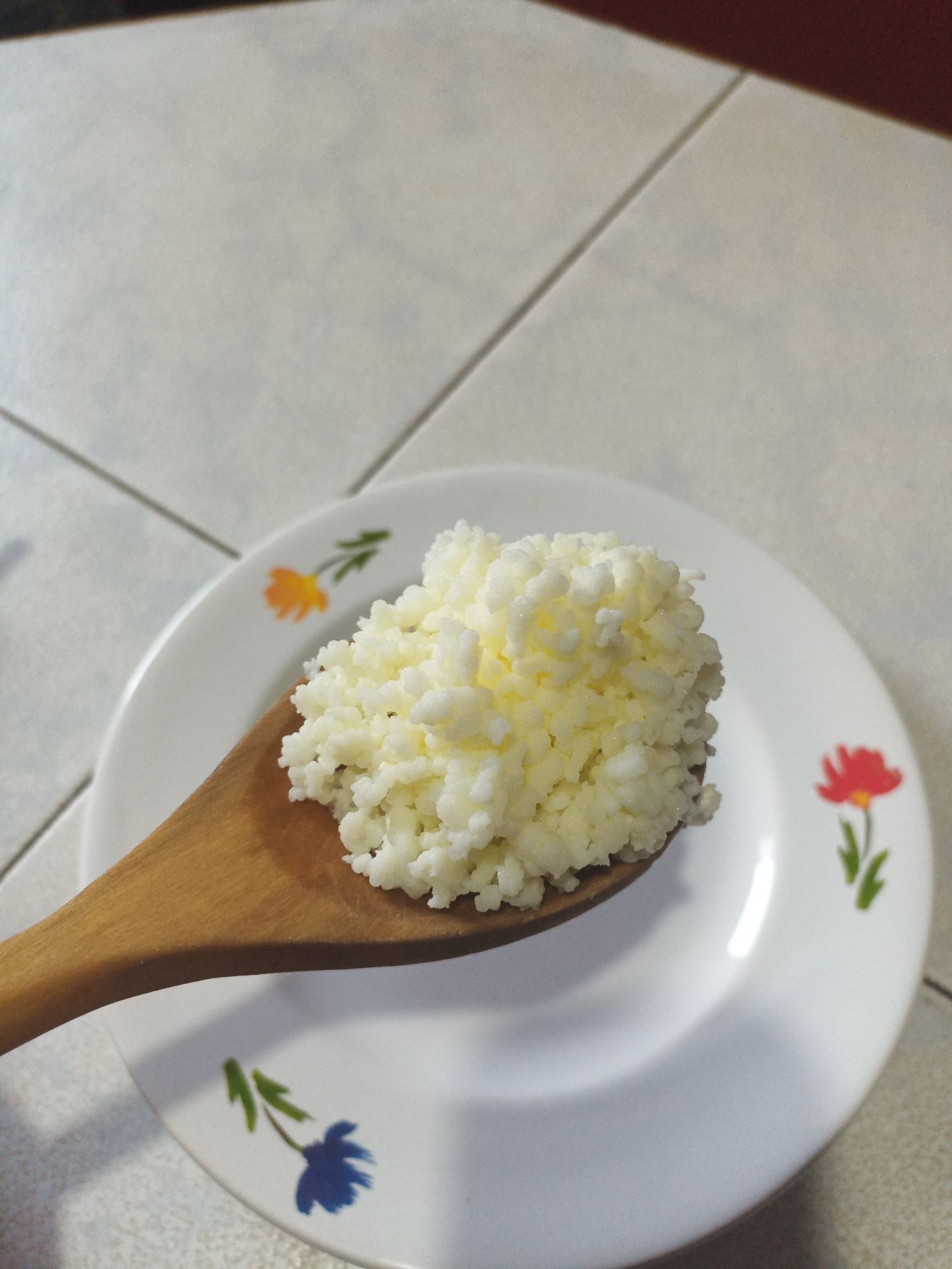 Granule de Kefir