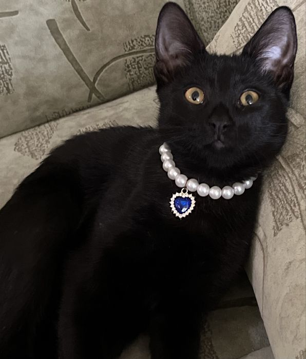 Девочка 4,5 подросток