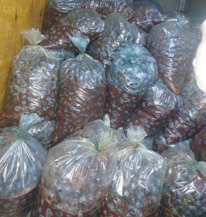 Prune pentru țuică