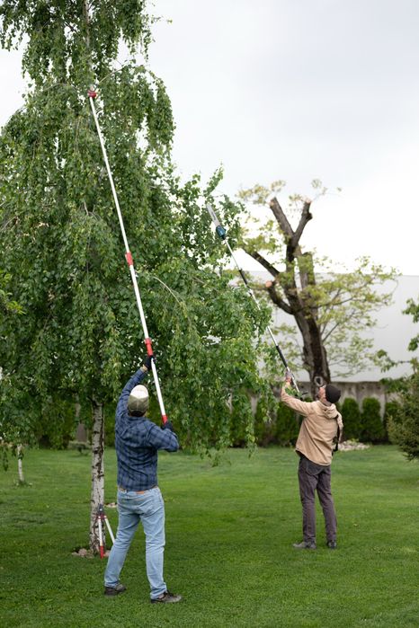 greenscape - peisagistica, gradinarit, intretinere spatii verzi