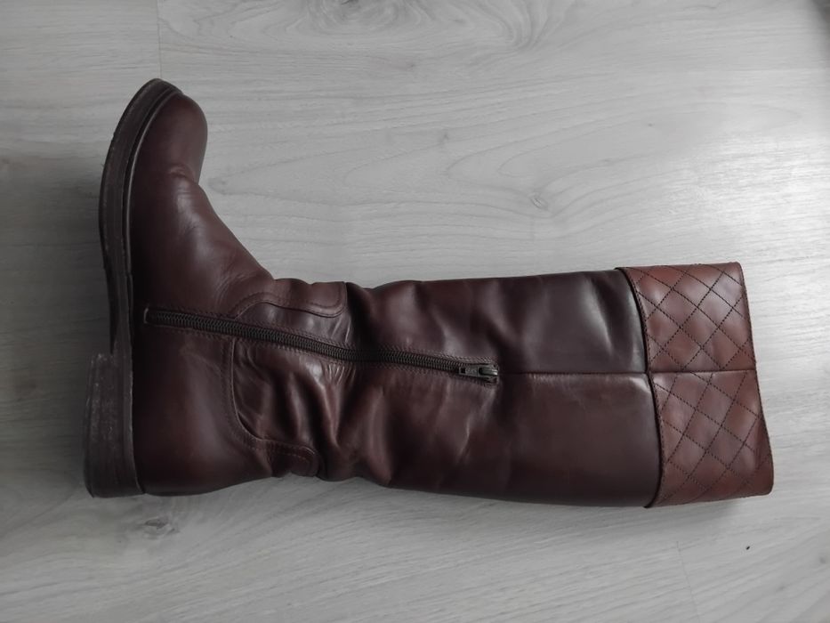 Cisme maro de la musette