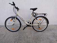 Bicicleta rich alpina