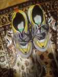 Adidas sport dama