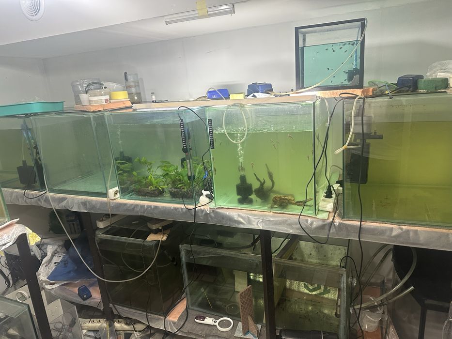 Аквариумы ферма для рыб готовая