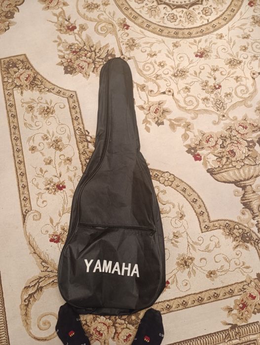 Гитара Amistar с чехлом