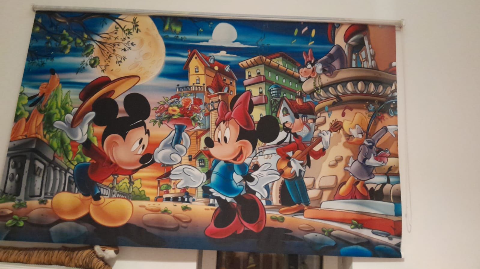 Vand rulouri cu disney