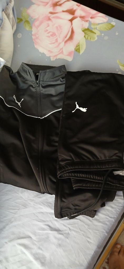 Trening puma original