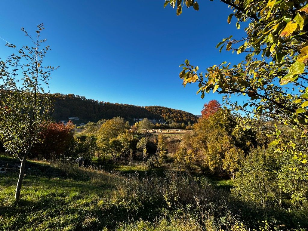Vând casă+teren 5000 mp