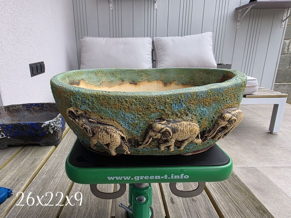 Vand vas pentru bonsai