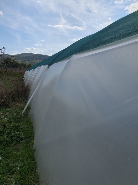 Оранжерия 8х32 м. професионална