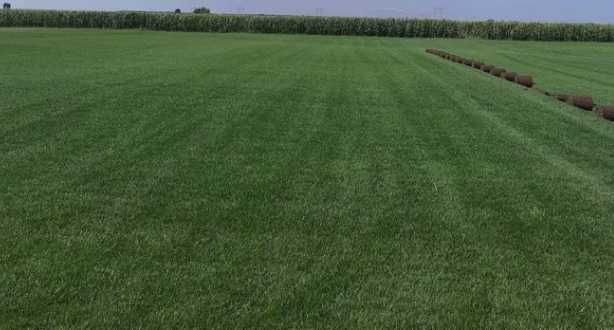 Gazon Rulouri Sisteme de Irigatie