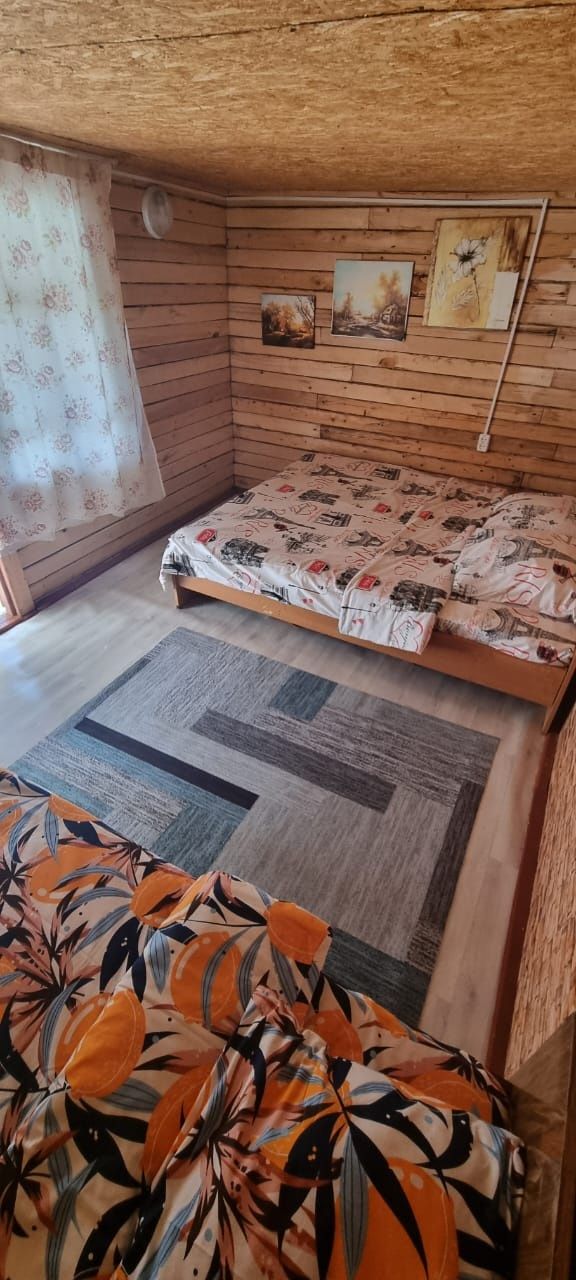 ДОМИКИ в Боровом