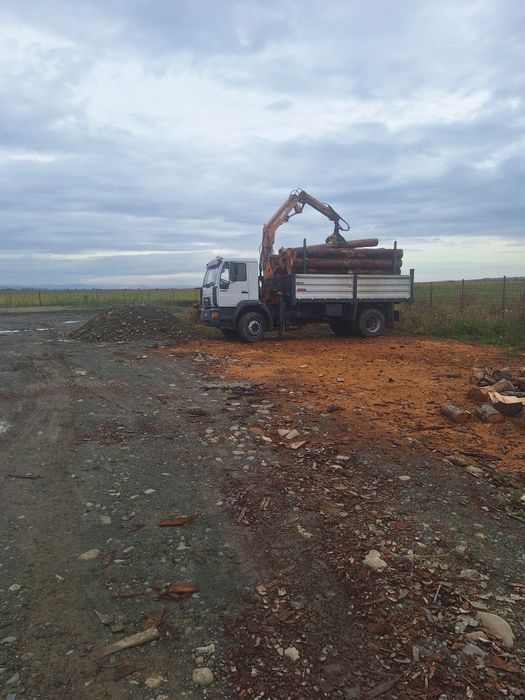 Man basculabil.  ( forestier)