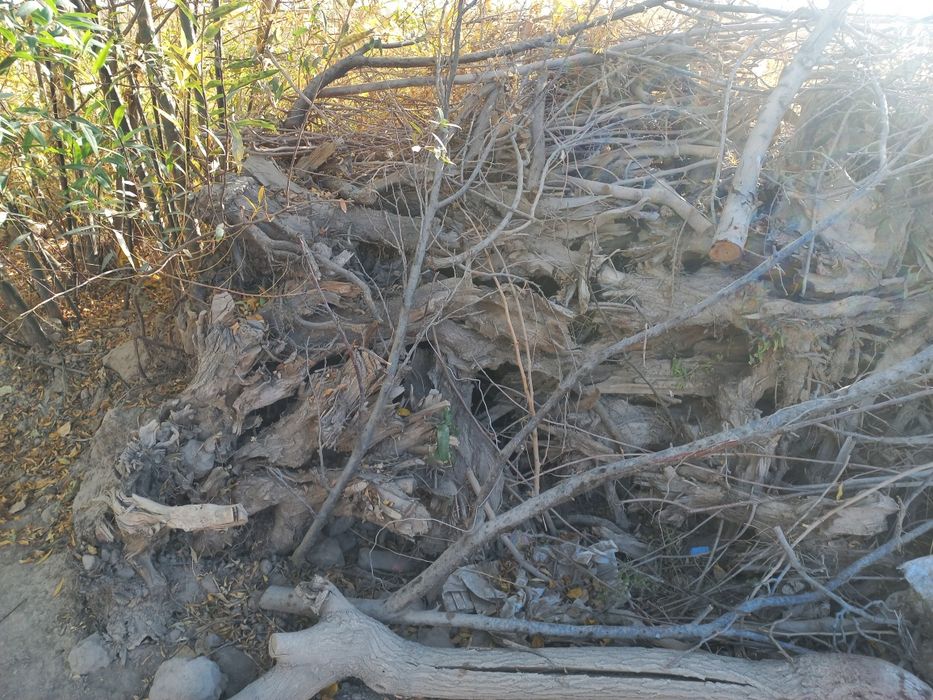 O'tinlar xolati zor quruq