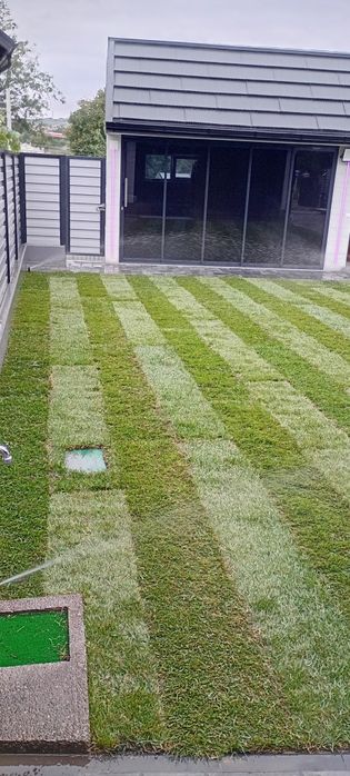 Amenajare si intretinere spatii verzi