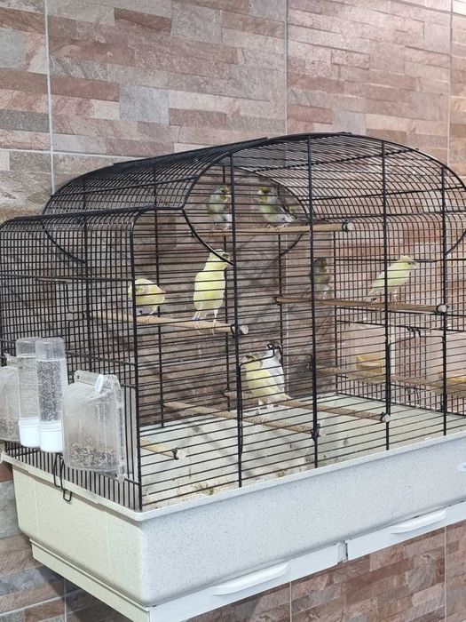 Продавам обучени хибриди