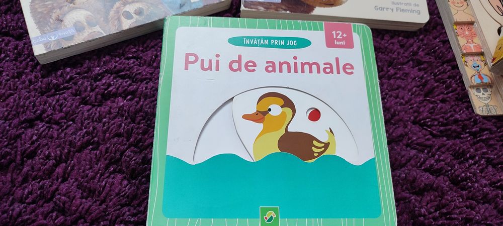 Set 3 Cărticele copii 12 luni +