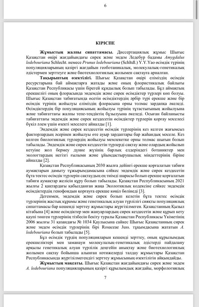 Перевод любых документов на основе оригинала