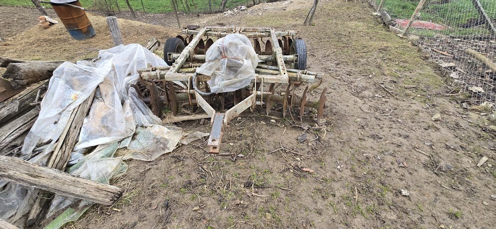 Disc 6 talere, 3 grapi